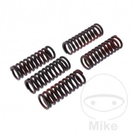 TRW Kit 5 reinforced clutch springs 738.06.52
