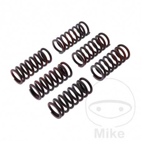 TRW Kit 6 reinforced clutch springs 738.06.55