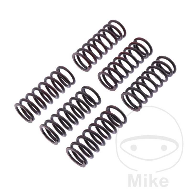 TRW Kit 6 reinforced clutch springs 738.07.31