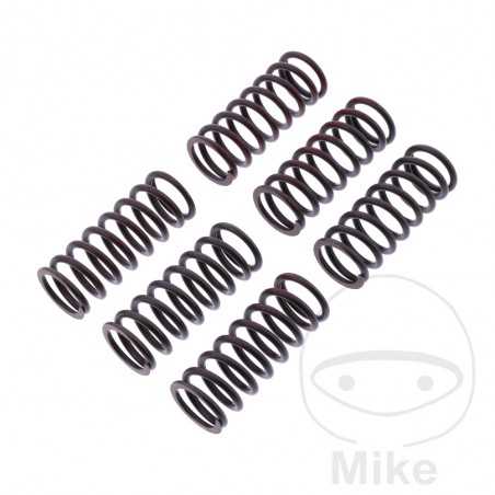 TRW Kit 6 reinforced clutch springs 738.07.31