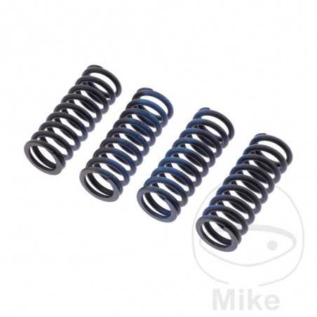 TRW Kit of 4 reinforced clutch springs 738.07.37