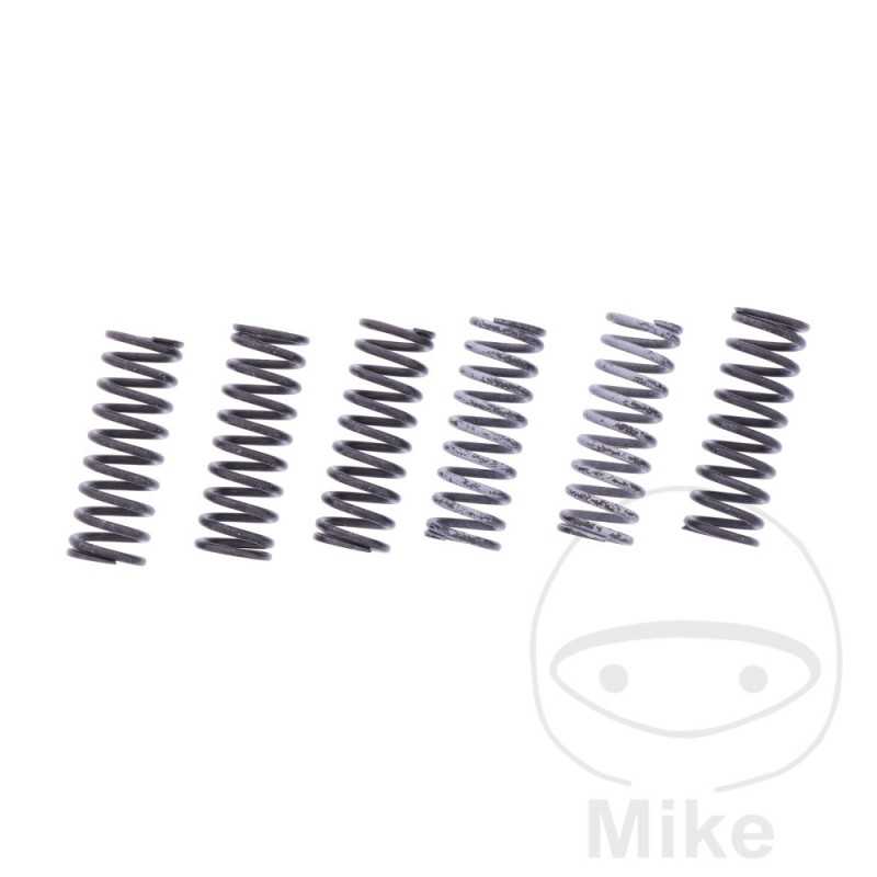TRW Kit 6 reinforced clutch springs 738.07.65