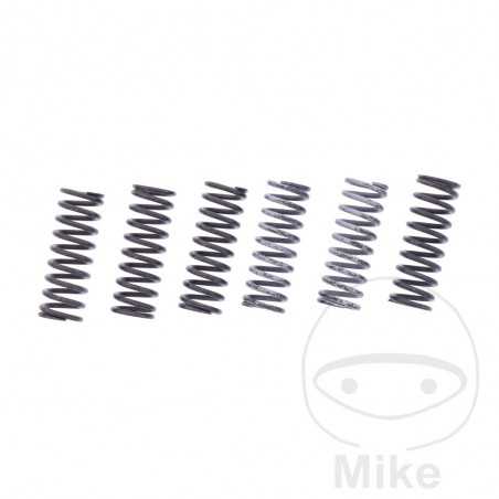 TRW Kit 6 reinforced clutch springs 738.07.65
