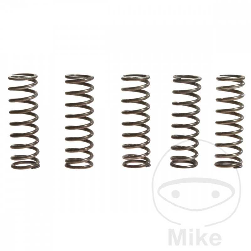 TRW Kit 5 reinforced clutch springs 738.71.29
