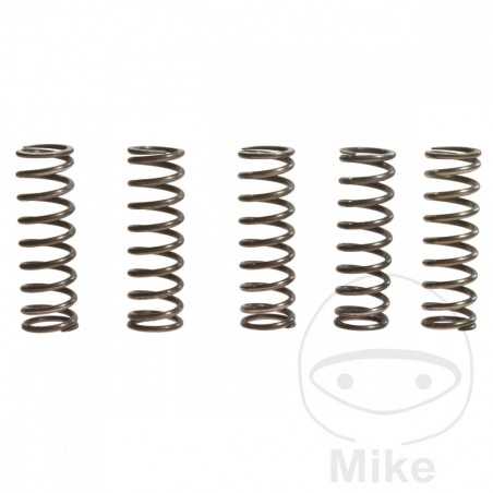TRW Kit 5 reinforced clutch springs 738.71.29