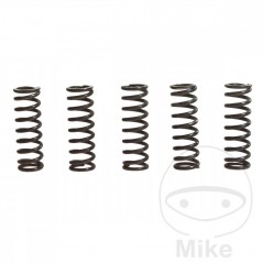 TRW Kit 5 reinforced clutch springs 738.71.37