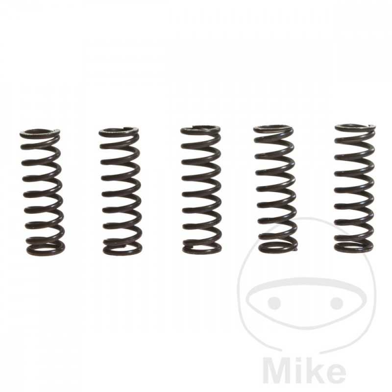 TRW Kit 5 reinforced clutch springs 738.71.37