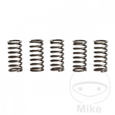 TRW Kit 5 reinforced clutch springs 738.71.45