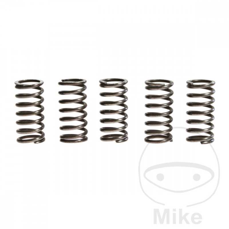 TRW Kit 5 reinforced clutch springs 738.71.45