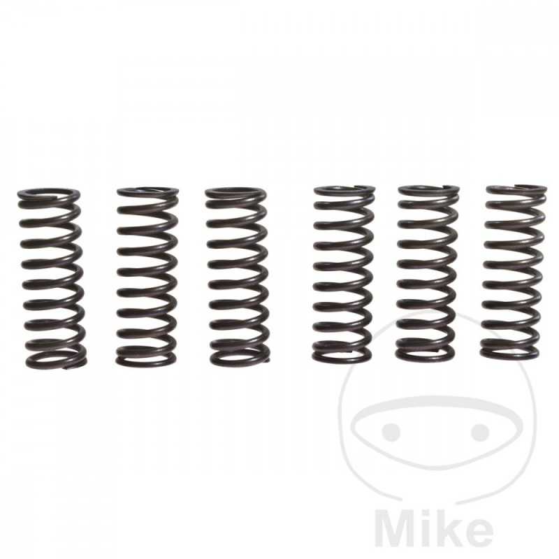 TRW Kit 6 reinforced clutch springs 738.71.78