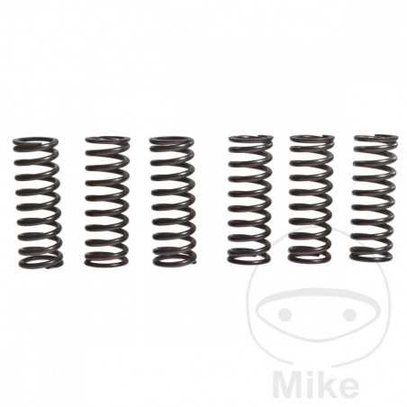 TRW Kit 6 reinforced clutch springs 738.71.78