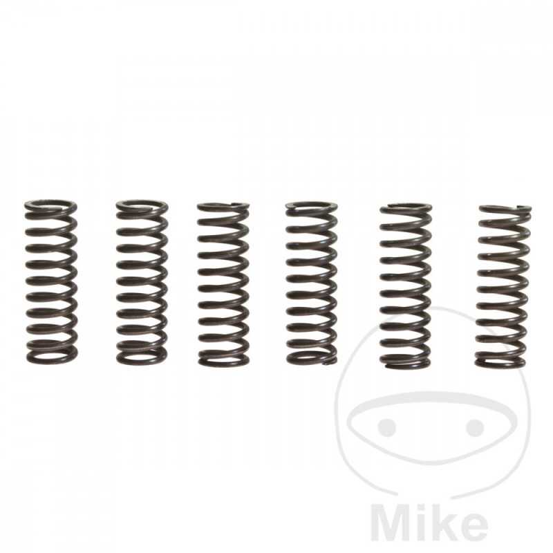 TRW Kit 6 reinforced clutch springs 738.72.10