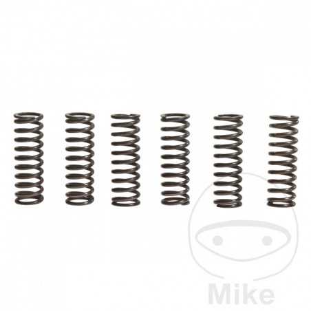 TRW Kit 6 reinforced clutch springs 738.72.10