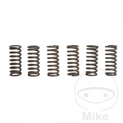 TRW Kit 6 reinforced clutch springs 738.72.51