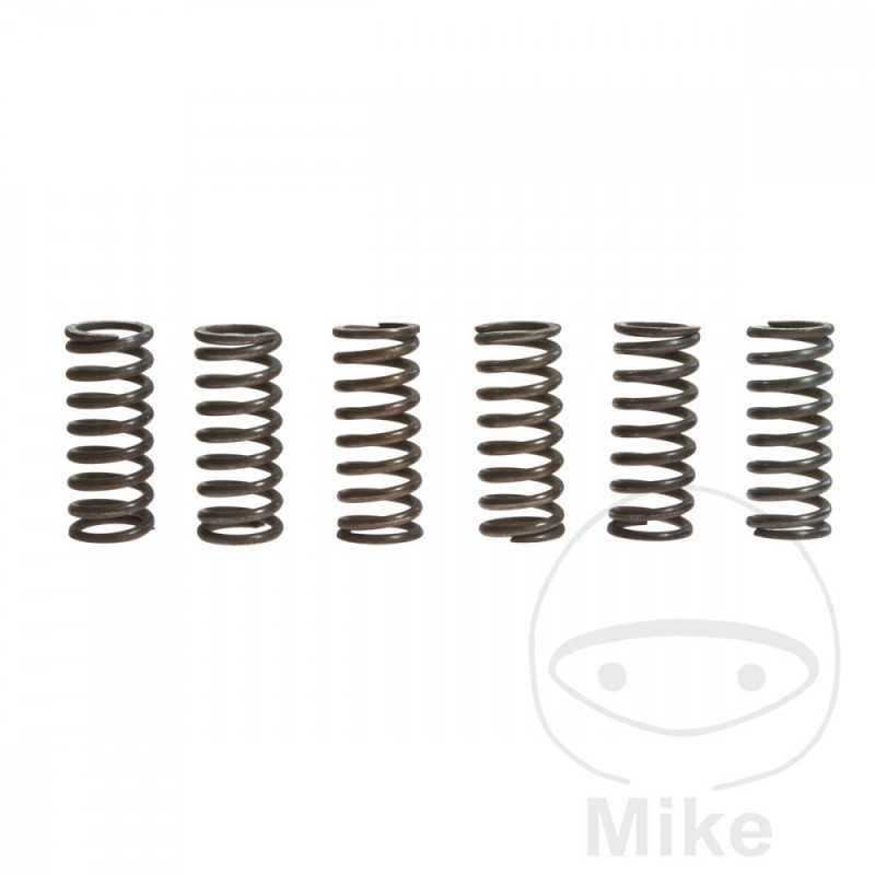 TRW Kit 6 reinforced clutch springs 738.72.51