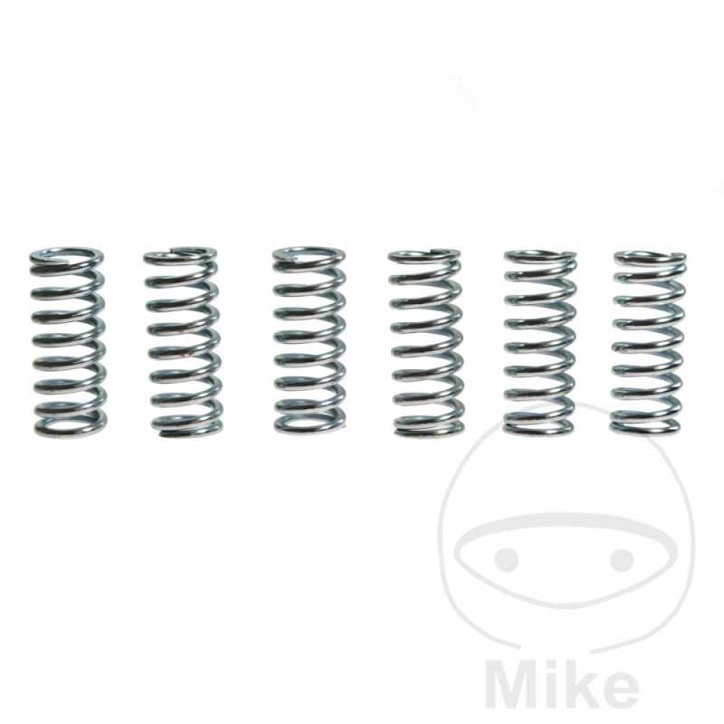 TRW Kit 6 muelles de embrague reforzados 738.72.69