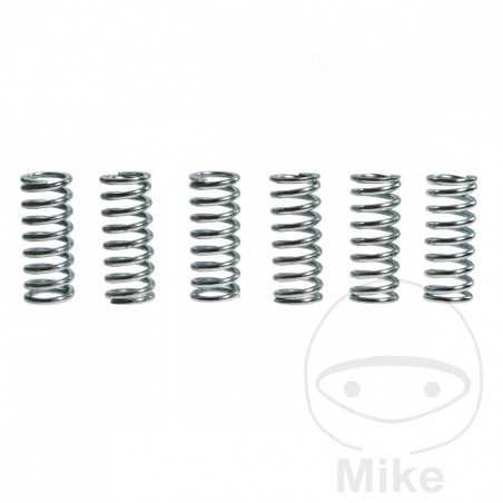 TRW Kit 6 reinforced clutch springs 738.72.69