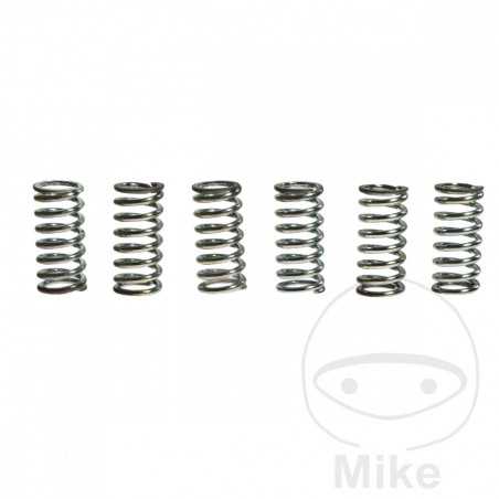 TRW Kit 6 reinforced clutch springs 738.72.77