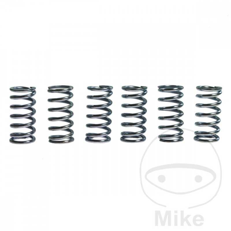 TRW Kit 6 muelles de embrague reforzados 738.86.71