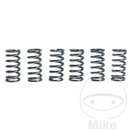 TRW Kit 6 reinforced clutch springs 738.86.71