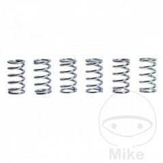 TRW Kit 6 reinforced clutch springs 738.86.89