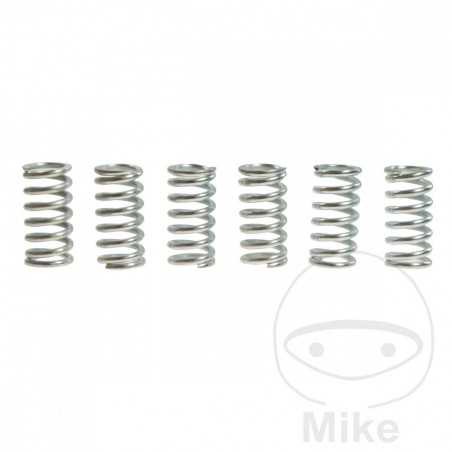 TRW Kit 6 muelles de embrague reforzados 738.87.05