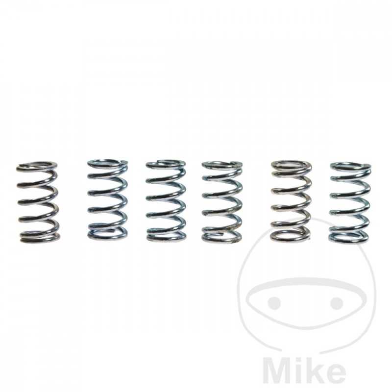 TRW Kit 6 reinforced clutch springs 738.87.13