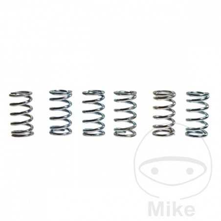 TRW Kit 6 reinforced clutch springs 738.87.13