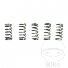 TRW Kit 5 reinforced clutch springs 738.87.21