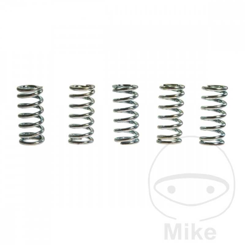 TRW Kit 5 reinforced clutch springs 738.87.21