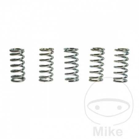 TRW Kit 5 reinforced clutch springs 738.87.21