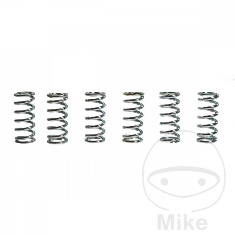 TRW Kit 6 reinforced clutch springs 738.87.54