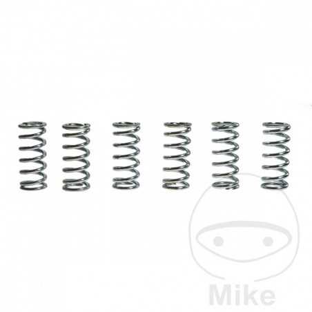 TRW Kit 6 reinforced clutch springs 738.87.54