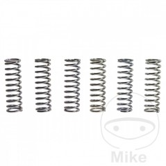 TRW Kit 6 reinforced clutch springs 738.87.70