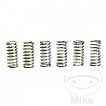 TRW Kit 6 reinforced clutch springs 738.88.04