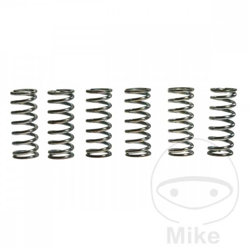 TRW Kit 6 reinforced clutch springs 738.88.38