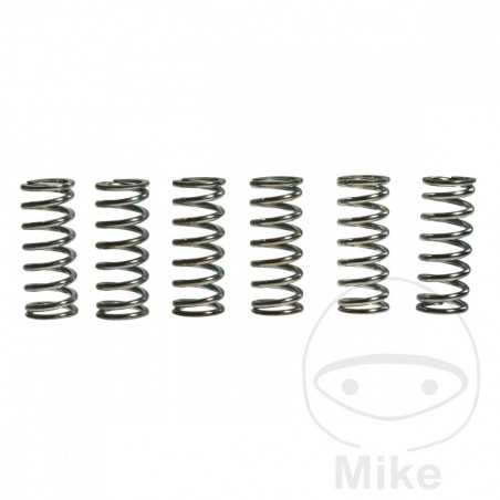 TRW Kit 6 reinforced clutch springs 738.88.38