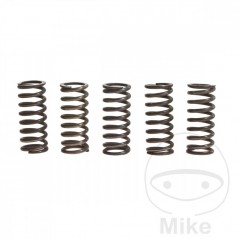 TRW Kit 5 reinforced clutch springs 738.88.46
