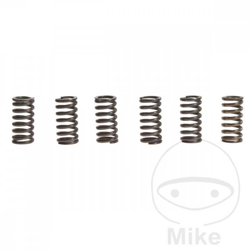 TRW Kit 6 reinforced clutch springs 738.89.94