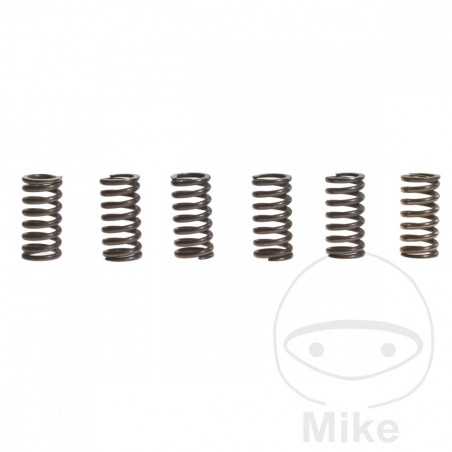 TRW Kit 6 reinforced clutch springs 738.89.94