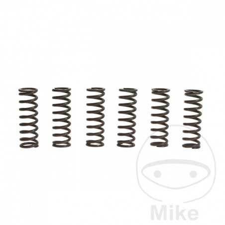 TRW Kit 6 reinforced clutch springs 738.90.18
