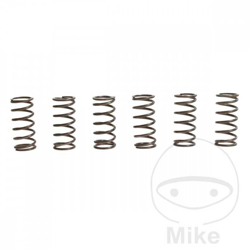 TRW Kit 6 reinforced clutch springs 738.90.26