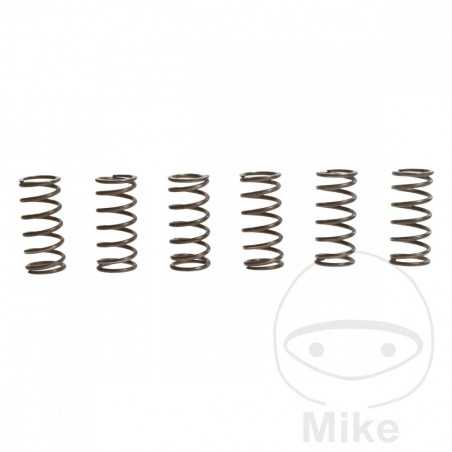 TRW Kit 6 reinforced clutch springs 738.90.26