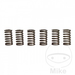 TRW Kit 6 reinforced clutch springs 738.90.59