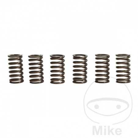 TRW Kit 6 reinforced clutch springs 738.90.59