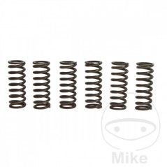 TRW Kit 6 reinforced clutch springs 738.90.75
