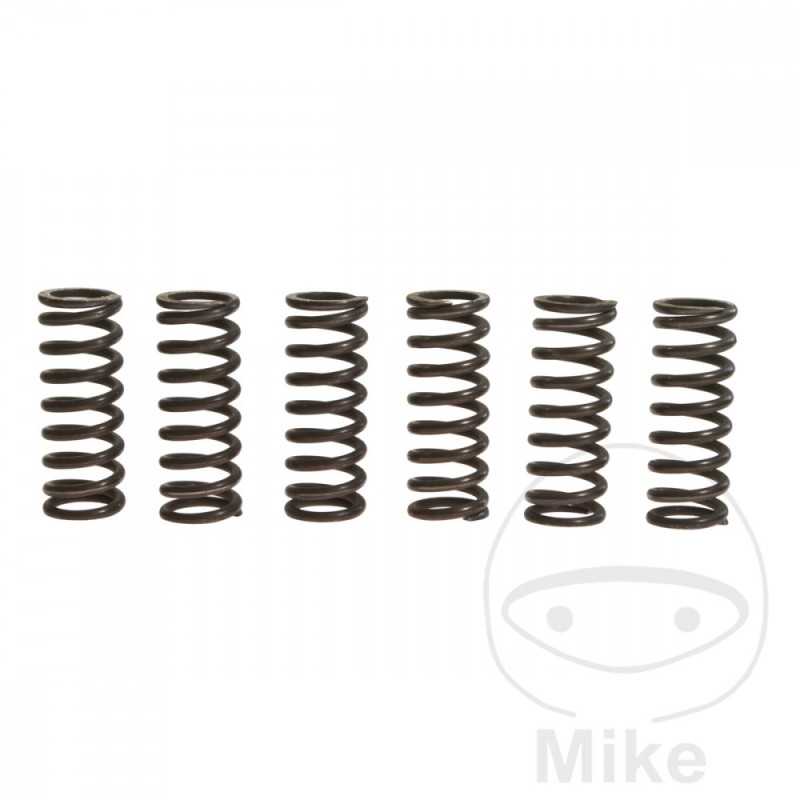 TRW Kit 6 reinforced clutch springs 738.90.75