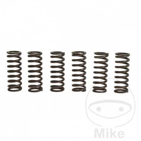 TRW Kit 6 reinforced clutch springs 738.90.75