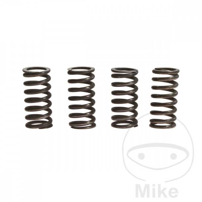 TRW Kit 4 muelles de embrague reforzados 738.90.91
