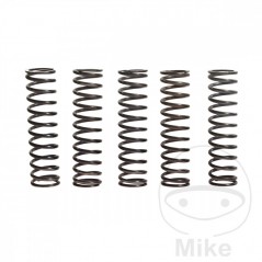 TRW Kit 5 reinforced clutch springs 738.92.32